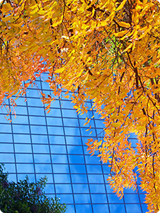 Governance and compliance standards