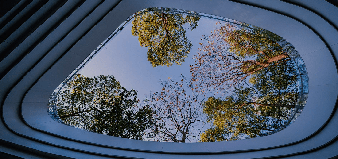 Modernising National Service Delivery through Intelligent Automation and Operational Expertise